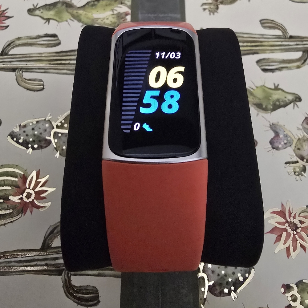 (USED) Fitbit Charge 6
Coral / Champagne Gold Aluminum